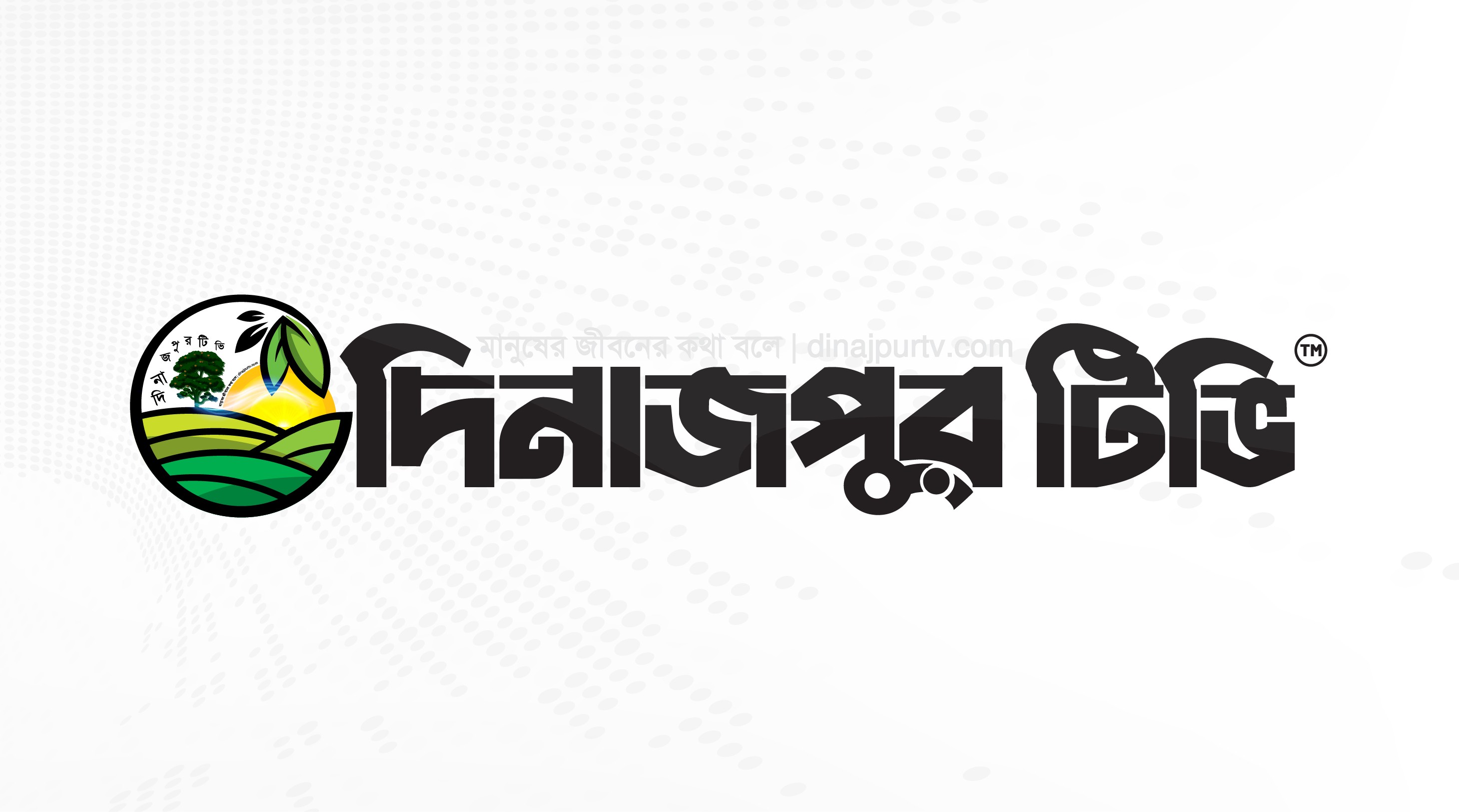 ভিমরুল কামড়ালে কী করবেন: জানুন প্রথমিক চিকিৎসা ও সতর্কতা